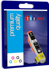Tru Image Compatible Photo Black Epson 33XL High Capacity Ink Cartridge
