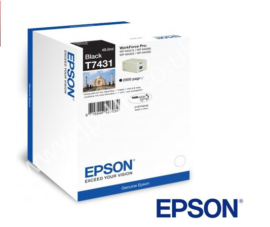 Epson Black Epson T7431 Ink Cartridge (C13T74314010) Printer Cartridge