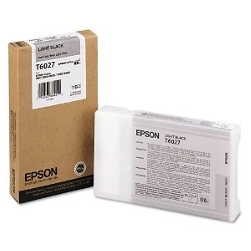 Epson Light Black Epson T6027 Ink Cartridge (C13T602700) Printer Cartridge