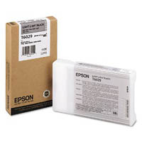 Epson Light Light Black Epson T6029 Ink Cartridge (C13T602900) Printer Cartridge