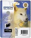 Epson T0967 UltraChrome K3 Light Black Ink Cartridge ( Husky ) (T096740)
